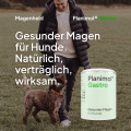 Planimol Gastro Tabletten